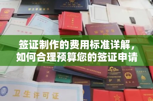 太仓签证制作的费用标准详解，如何合理预算您的签证申请成本